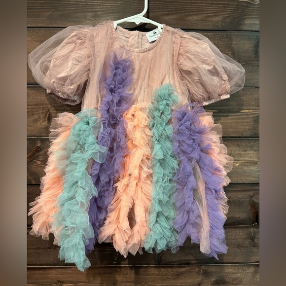 Raspberry Plum Girls fancy tulle ruffle frock dress - Picture 1 of 3